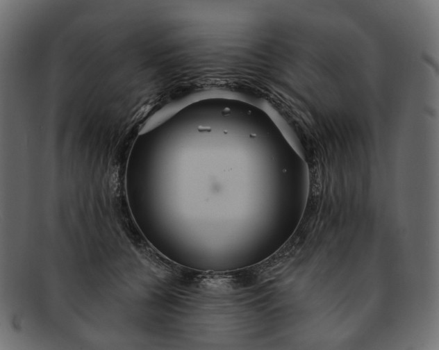 X0000091930560200709191402
