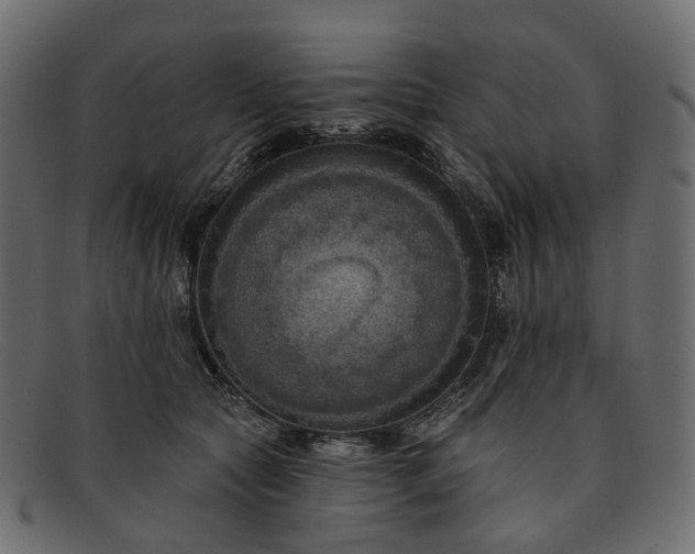 X0000091930561200709191402