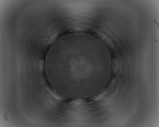 X0000091930563200709191402