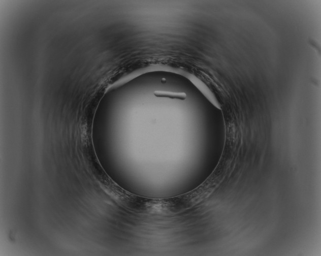 X0000091930564200709191402