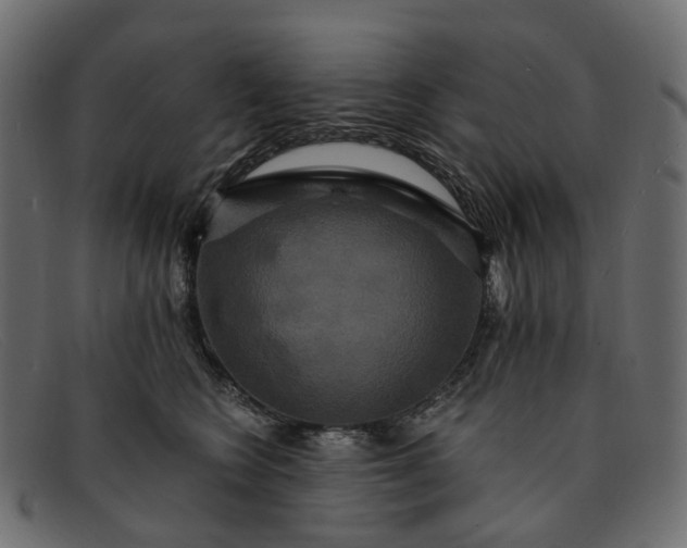 X0000091930566200709191402