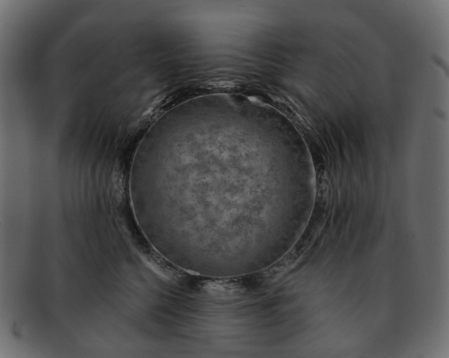 X0000091930568200709191402