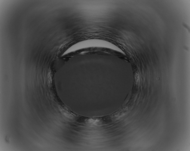 X0000091930570200709191402