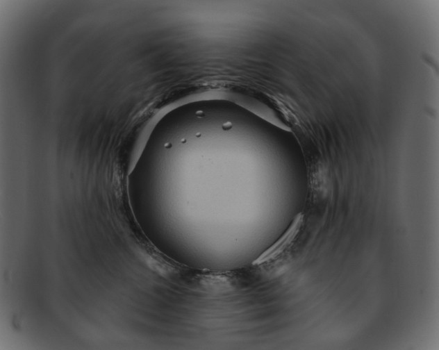 X0000091930572200709191402