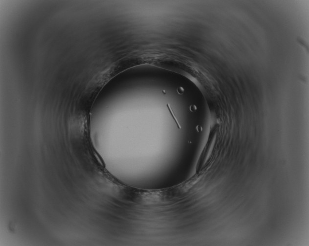 X0000091930574200709191402