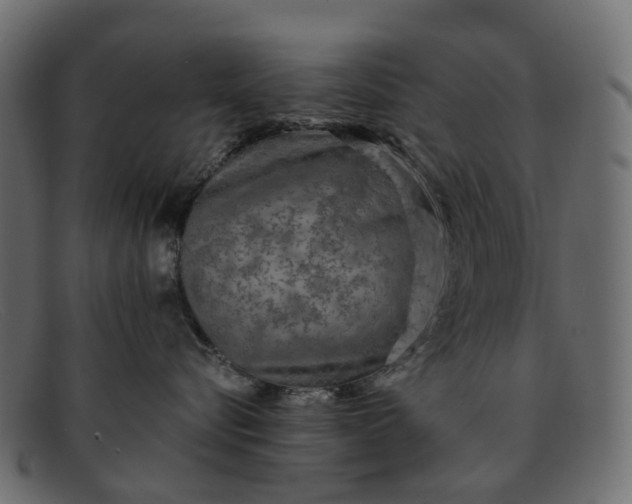 X0000091930576200709191402