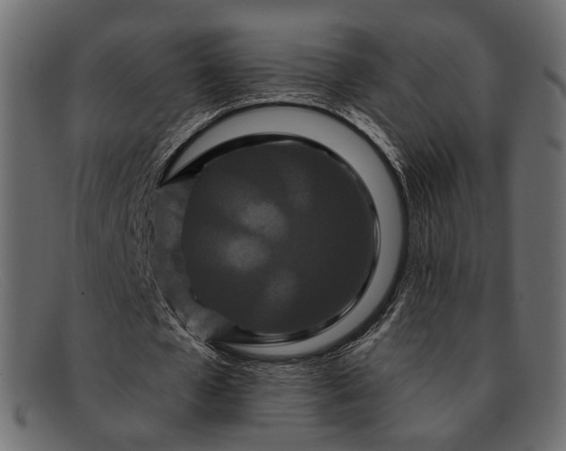 X0000091930577200709191401