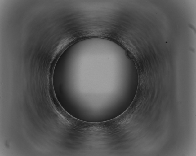 X0000091930578200709191401