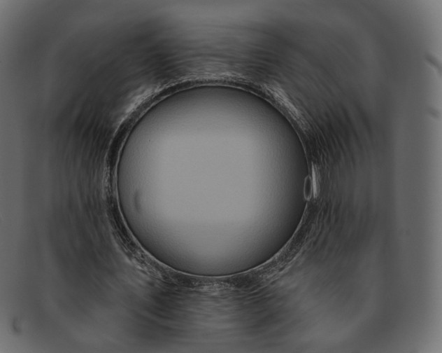 X0000091930579200709191401
