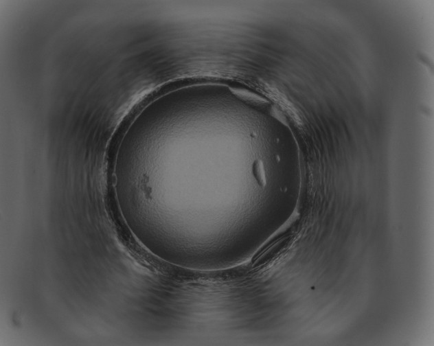 X0000091930580200709191401
