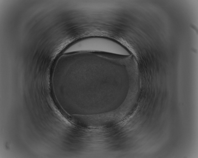 X0000091930581200709191401