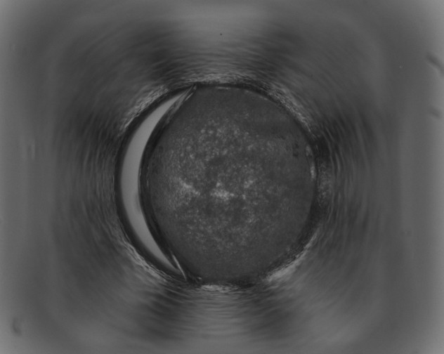 X0000091930585200709191401