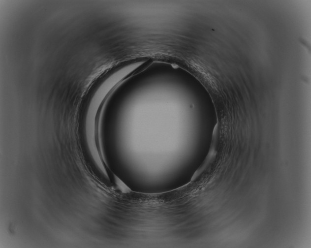 X0000091930587200709191401