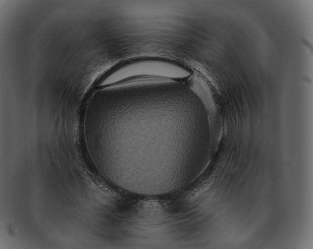 X0000091930588200709191401