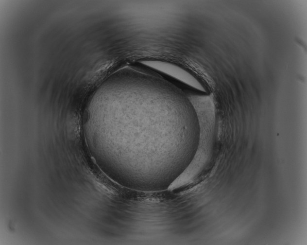 X0000091930593200709191401