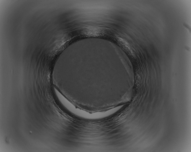 X0000091930596200709191401