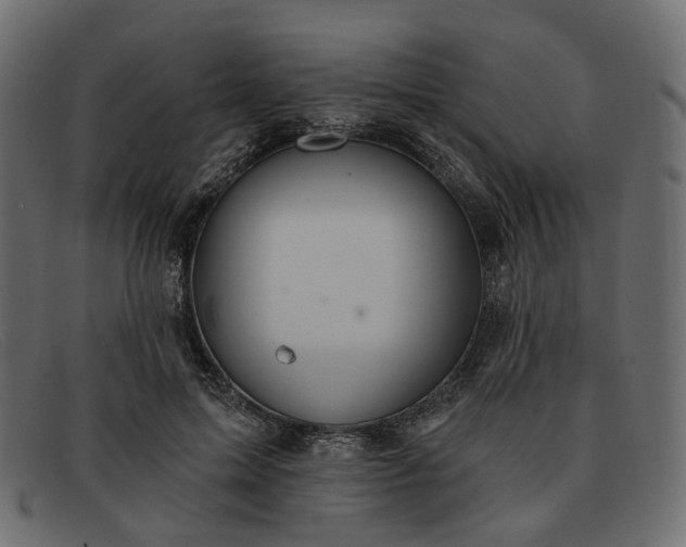 X0000091930599200709191401