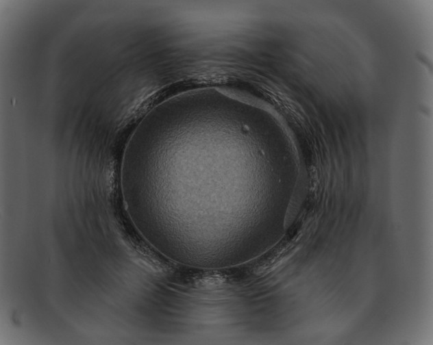 X0000091930600200709191401