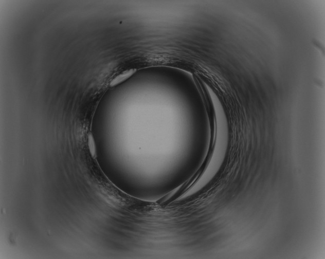 X0000091930601200709191401