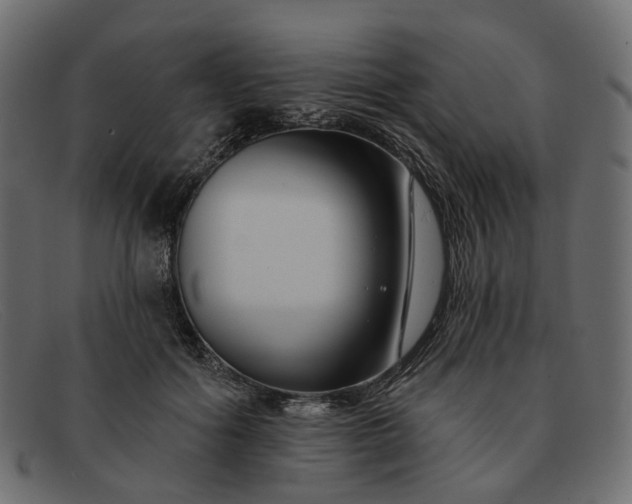 X0000091930602200709191401