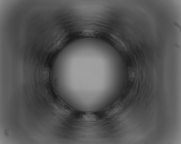 X0000091930603200709191401