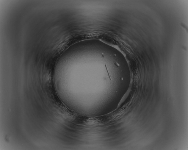 X0000091930608200709191401