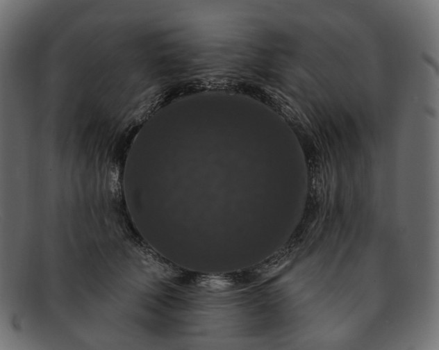 X0000091930610200709191401