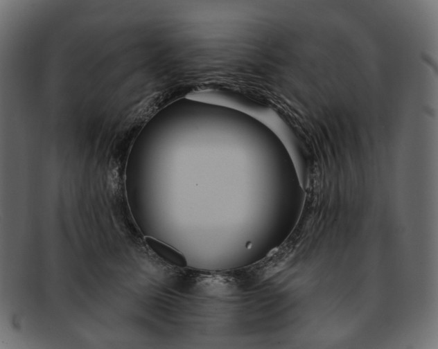 X0000091930611200709191401