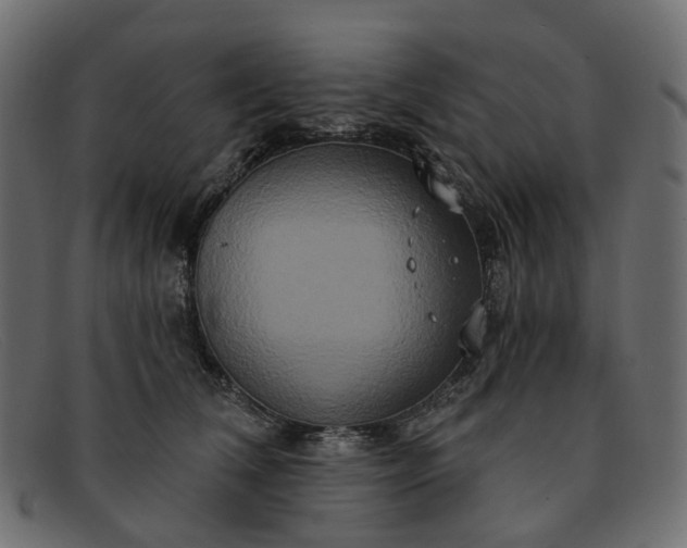 X0000091930612200709191401