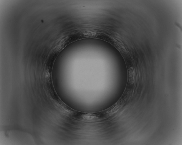 X0000091930614200709191401