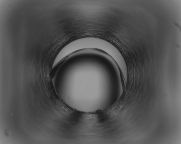X0000091930617200709191401