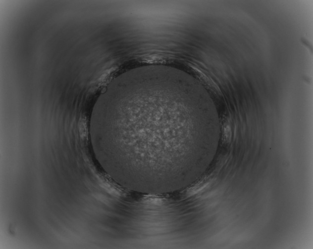 X0000091930620200709191401