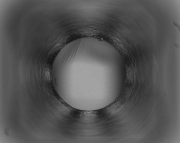 X0000091930622200709191401