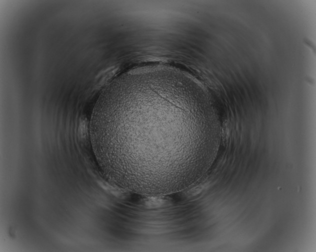 X0000091930623200709191401