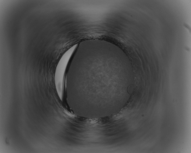 X0000091930624200709191401