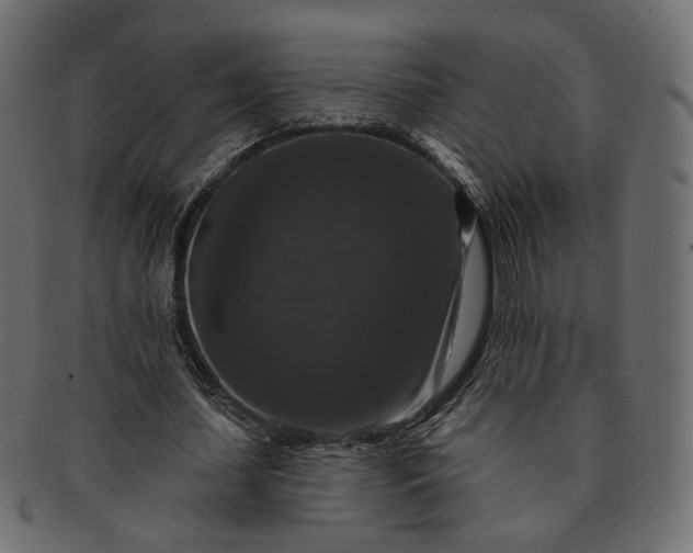 X0000091930627200709191400