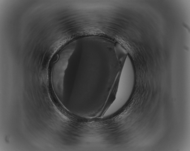 X0000091930630200709191400