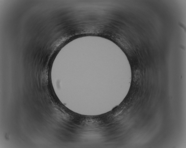 X0000091930632200709191400