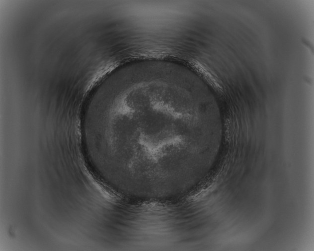X0000091930634200709191400