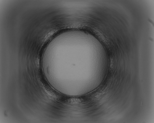 X0000091930636200709191400