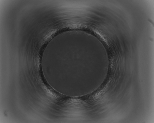 X0000091930637200709191400