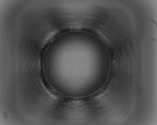 X0000091930638200709191400
