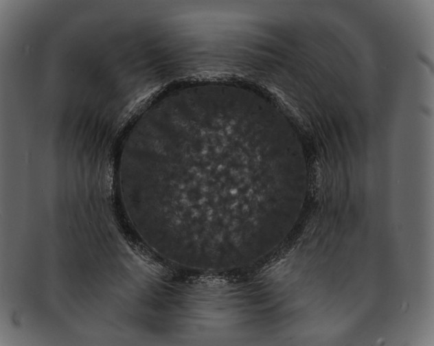 X0000091930640200709191400