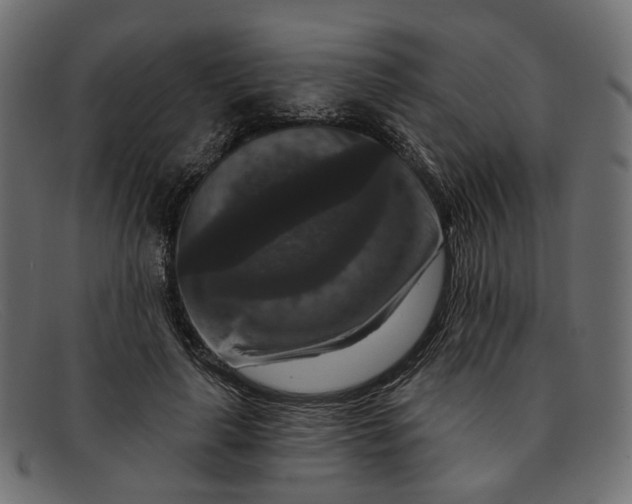 X0000091930643200709191400