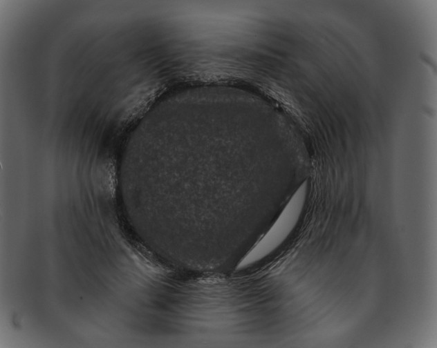 X0000091930644200709191400