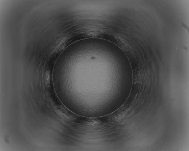 X0000091930646200709191400