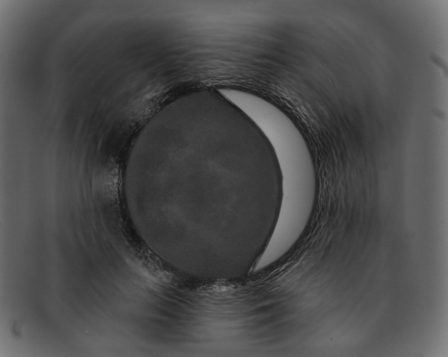 X0000091930647200709191400