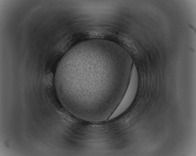 X0000091930649200709191400
