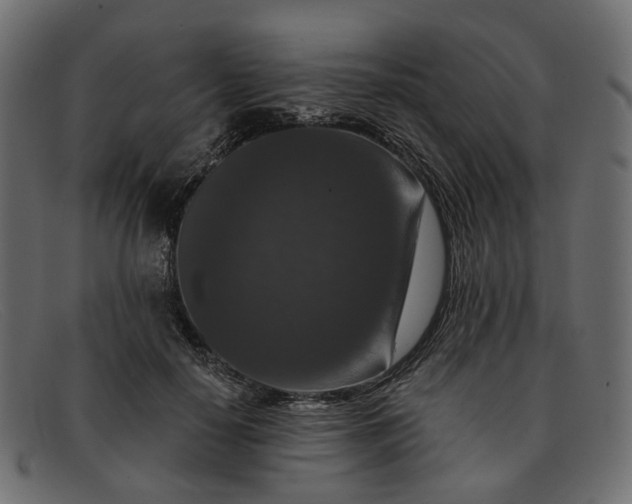 X0000091930650200709191400