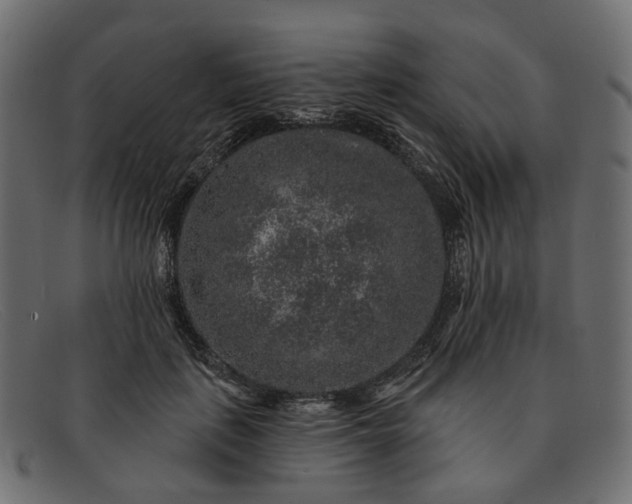X0000091930651200709191400